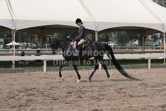 DAHAFall20_SunPM_7033