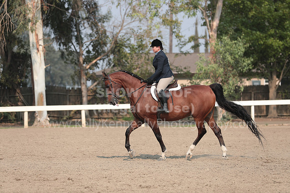 DAHAFall20_SunPM_7624