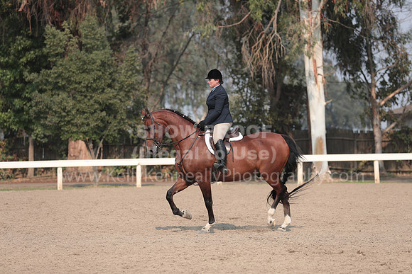 DAHAFall20_SunPM_7628