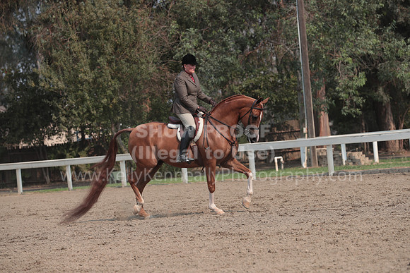 DAHAFall20_SunPM_7463