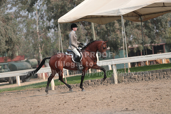 DAHAFall20_SunPM_7630