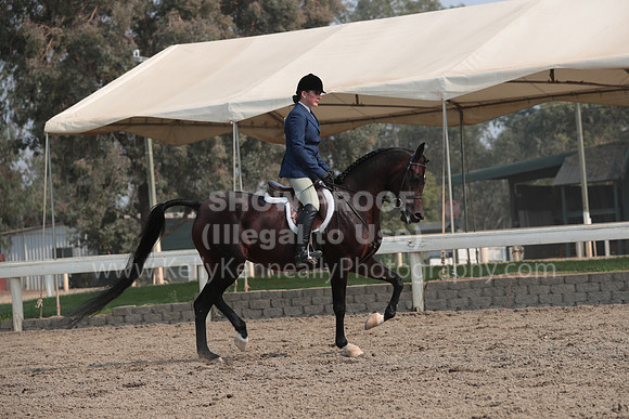 DAHAFall20_SunPM_7472