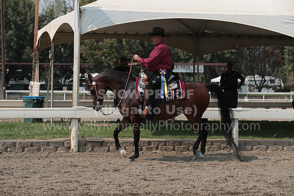 DAHAFall20_SunPM_6881