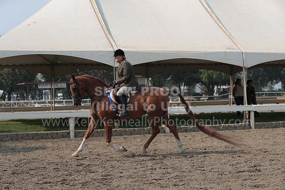 DAHAFall20_SunPM_7515