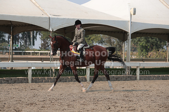DAHAFall20_SunPM_7526