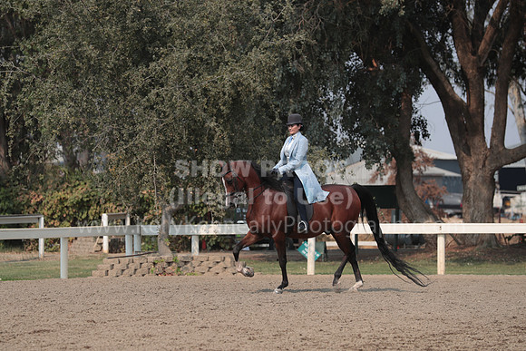 DAHAFall20_SunPM_7310