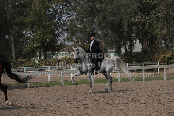 DAHAFall20_SunPM_7328