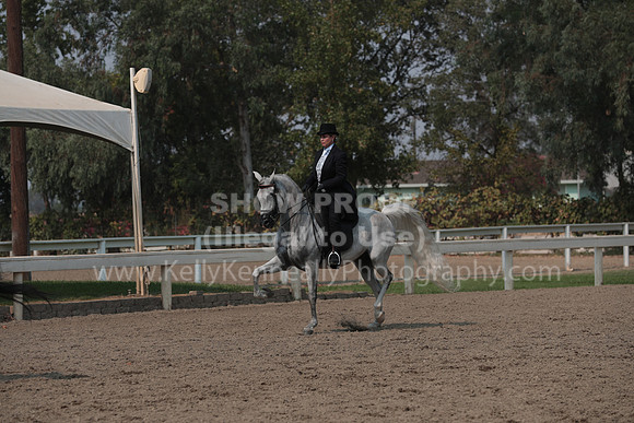 DAHAFall20_SunPM_7331