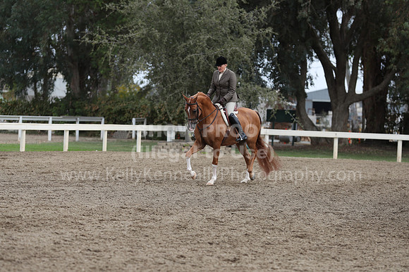 DahaFall20_Fri_AM_0049