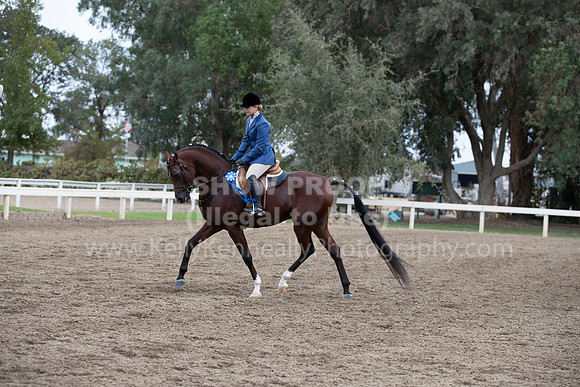 DahaFall20_Fri_AM_6224