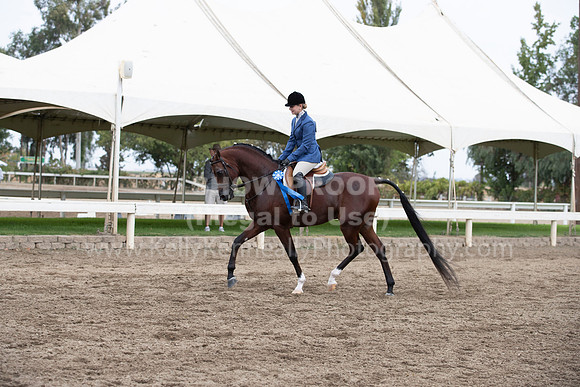 DahaFall20_Fri_AM_6226