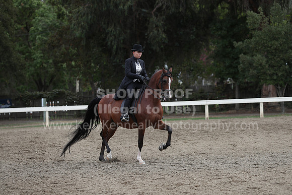 DahaFall20_Fri_AM_0084