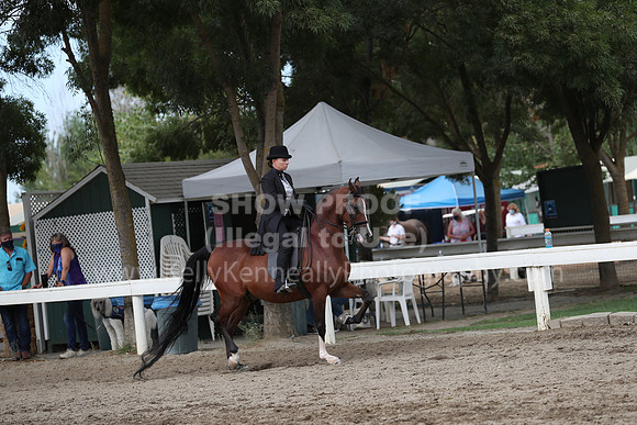 DahaFall20_Fri_AM_0086