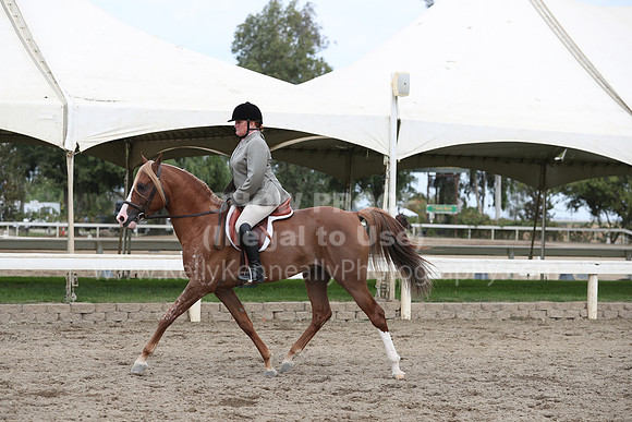 DahaFall20_Fri_AM_0095