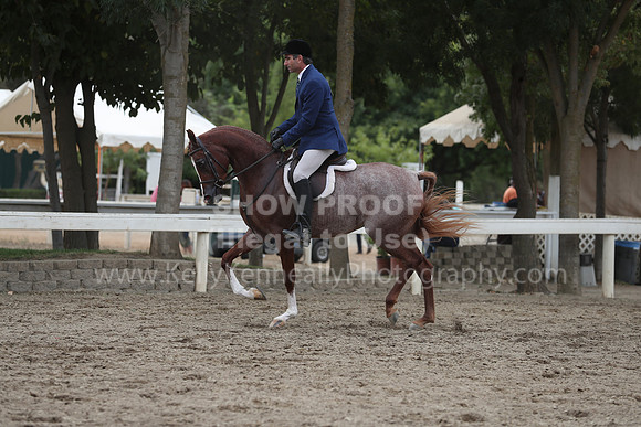 DahaFall20_Fri_AM_0117