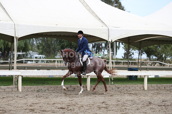 DahaFall20_Fri_AM_0138