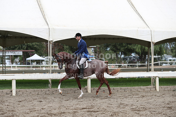 DahaFall20_Fri_AM_0142