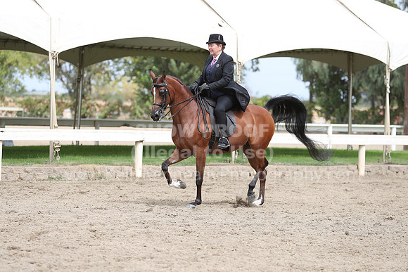DahaFall20_Fri_AM_0209