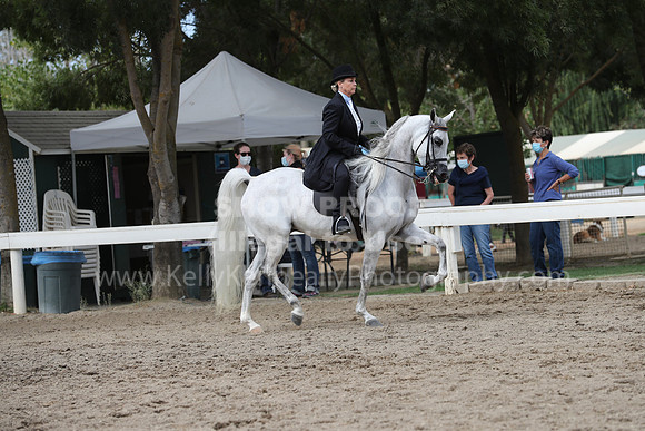 DahaFall20_Fri_AM_0241