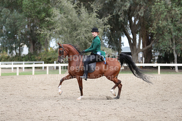 DahaFall20_Fri_AM_0261