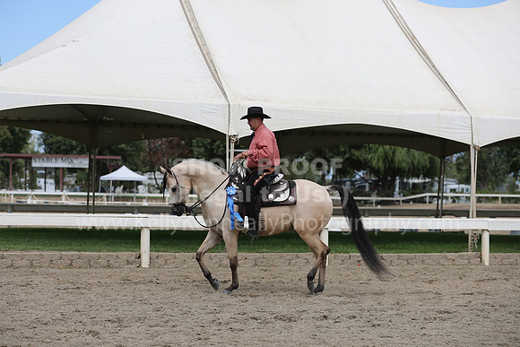 DahaFall20_Fri_AM_0327