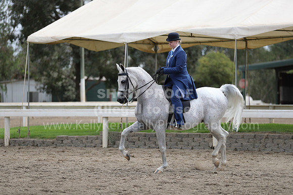 DahaFall20_Fri_AM_0332