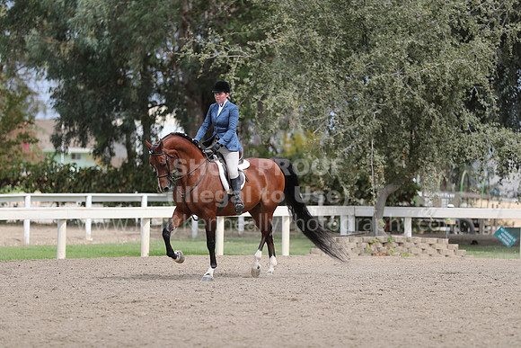 DahaFall20_Fri_AM_0381