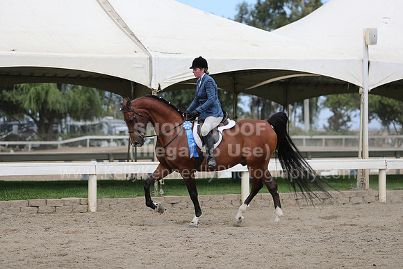 DahaFall20_Fri_AM_0389