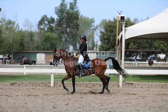 DahaFall20_Fri_AM_0428
