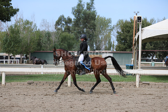 DahaFall20_Fri_AM_0430