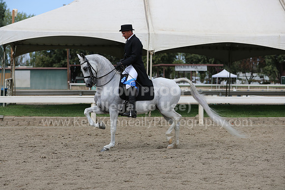DAHAFall20_Fri_AM_0458
