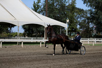DAHAFall20_Fri_PM_0487