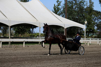 DAHAFall20_Fri_PM_0489