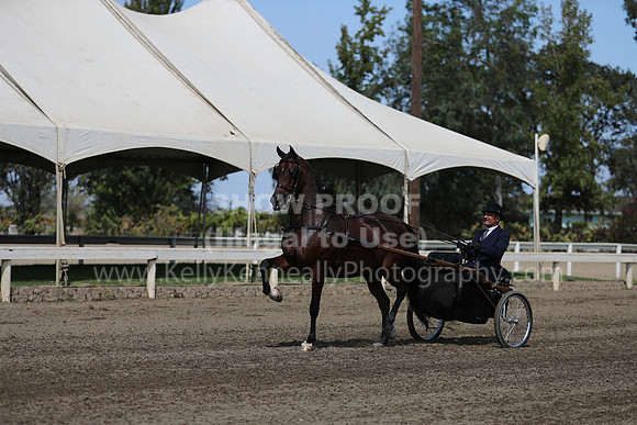 DAHAFall20_Fri_PM_0489