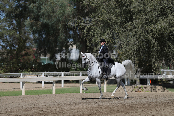 DAHAFall20_Fri_PM_0598