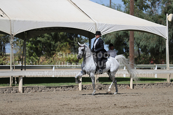 DAHAFall20_Fri_PM_0609