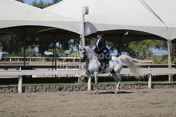 DAHAFall20_Fri_PM_0634