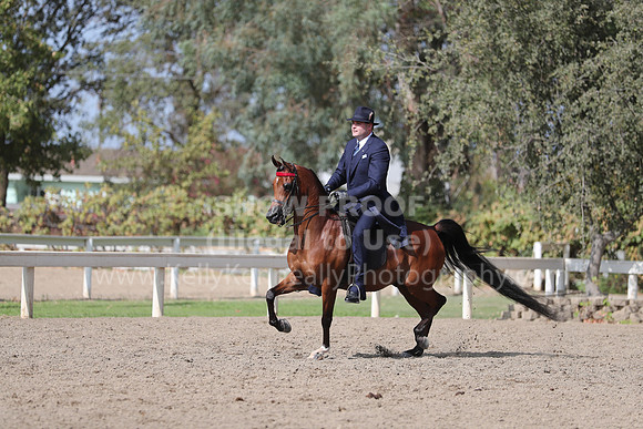 DAHAFall20_Fri_PM_1311
