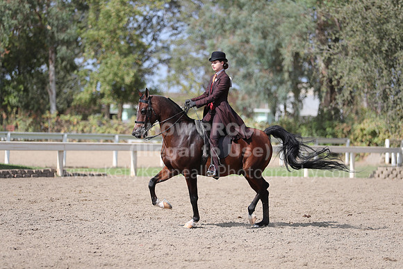 DAHAFall20_Fri_PM_1315