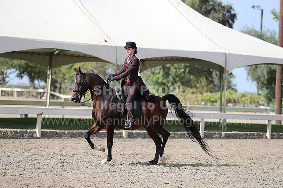 DAHAFall20_Fri_PM_1318