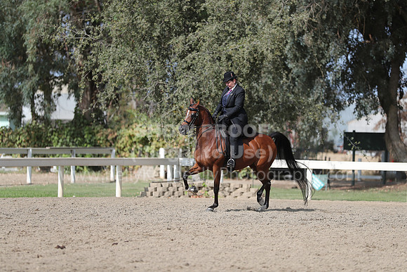 DAHAFall20_Fri_PM_1336