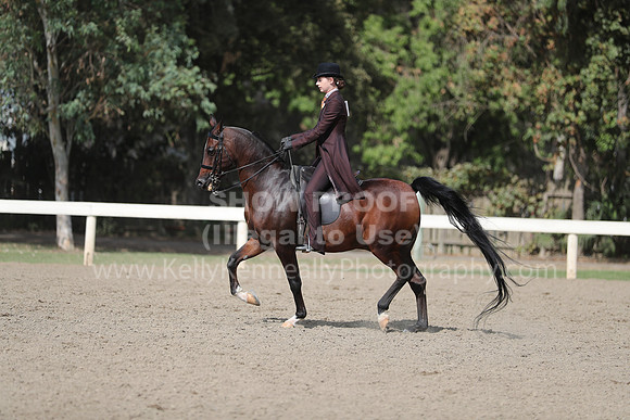 DAHAFall20_Fri_PM_1340