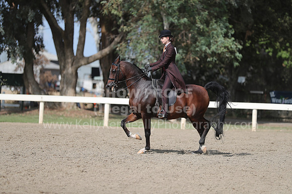 DAHAFall20_Fri_PM_1345