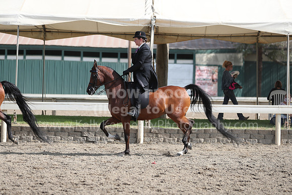 DAHAFall20_Fri_PM_1346
