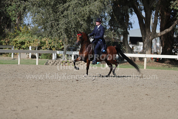 DAHAFall20_Fri_PM_1351