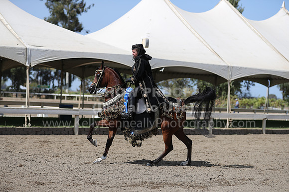 DAHAFall20_Fri_PM_0957