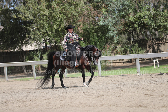DAHAFall20_Fri_PM_1145