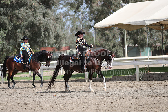 DAHAFall20_Fri_PM_1160