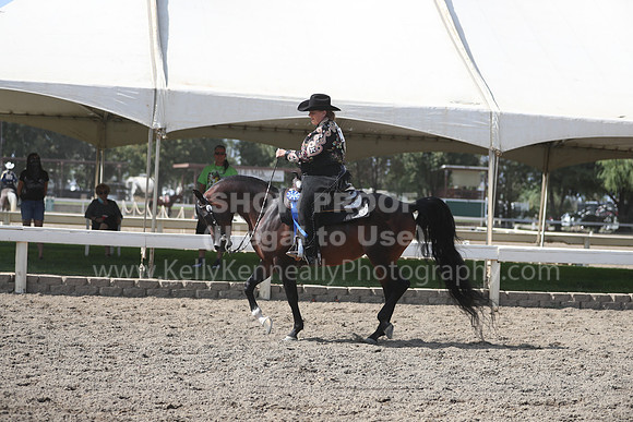 DAHAFall20_Fri_PM_1208