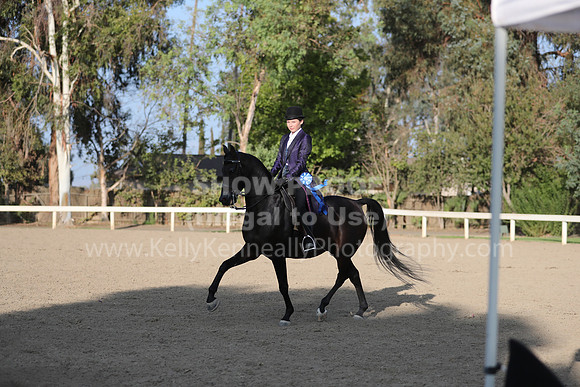 DahaFall20_Fri_PM_Eve_1931